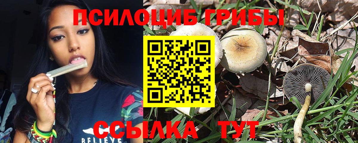 Галлюциногенные грибы MAGIC MUSHROOMS Муром