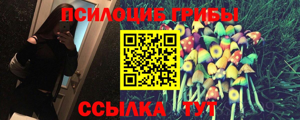Муром  Псилоцибиновые грибы мухоморы  Вход с VPN 